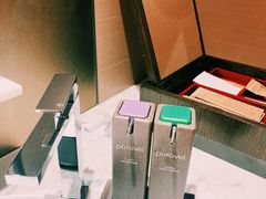 -新加坡瑞士史丹福酒店