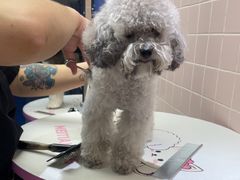 -FAELING PETS美天灵宠物(富力广场店)
