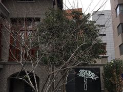 -星巴克臻选(思南公馆店)