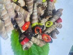 -77号渔船·蒸海鲜青岛菜(积米崖店)