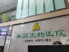 -半岛宠物医院24小时(科华中路店)