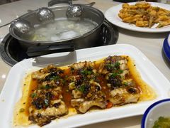 -港升鱼师傅·中山脆肉鲩