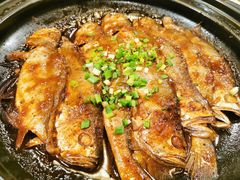 -食家鸽园