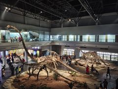 -自贡恐龙博物馆