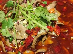 -龙梅肥肠鱼(明瓦廊店)