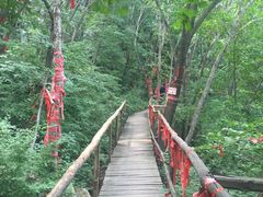 -吊水壶国家森林公园