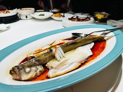 清蒸白鱼-满满海佛跳墙(千禧店)