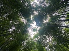 -四门塔风景区