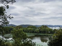 -上海市保健医疗中心