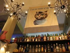 -猫咪博物馆(顶澳仔猫街店)