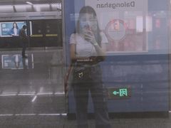 -大龙山(地铁站)