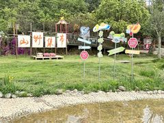 -成都松鼠部落