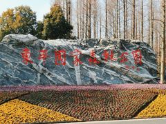 -东平国家森林公园