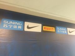 -圣西罗球场