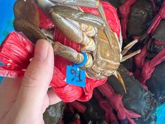 -膳富贵黄油蟹体验馆(欢乐港湾店)