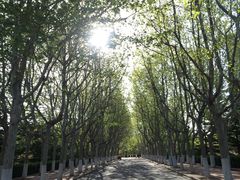 -哈尔滨工业大学(威海校区)