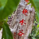 广州 | 白水仙瀑景区打卡全攻略㊙️十月活动合集看这里🥳