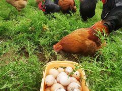 -杭州六谷生态休闲农庄有限公司