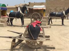 -镇北堡西部影城