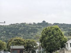 -呼吸森林·生态农庄农家乐私房菜