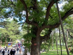 -承德避暑山庄景区