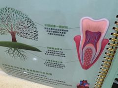 -圣呗口腔·舒适化种植牙·矫正中心(广州总院)