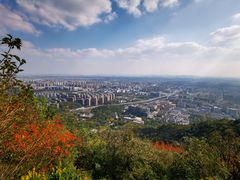 -杭州半山国家森林公园