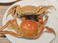 -金马门国际美食百汇(珞喻路店)