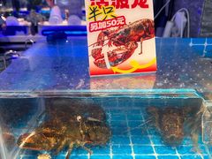 -渔纬港海鲜自助餐厅(湖里万达店)