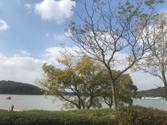 -上海月湖雕塑公园