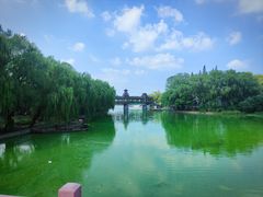 -上海美帆帆船露营基地
