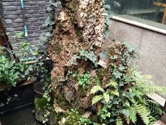 -毅祥斋老孙家泡馍(西羊市店)