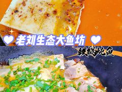 -老刘生态大鱼坊铁锅炖鱼(赛马场店)