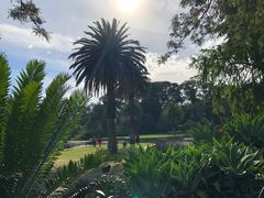 -墨尔本皇家植物园