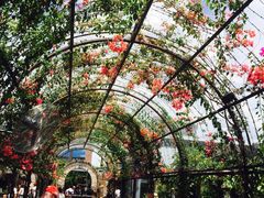 -The Grounds of Alexandria