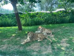 -北京野生动物园