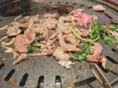 -杨小佳·齐齐哈尔烤肉·烤串(广州店)