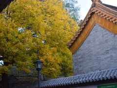 -VOYAGE COFFEE(北锣鼓巷店)