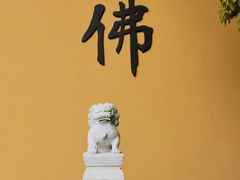 -天下玉苑