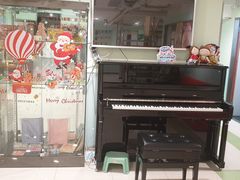 -柏斯琴行(汾阳店)