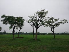 -洨河生态公园