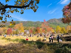 -塔川景区