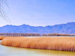 -野鸭湖国家湿地公园