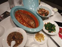 -阿五黄河大鲤鱼(海尚店)