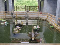 -蝶舞清江·恩施云顶景区(黄鹤峰林)