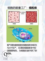 -JY·VALMONT法儿曼官方面护·海菲秀黑钻体验中心