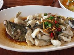 -顺德了能馆(虎门店)