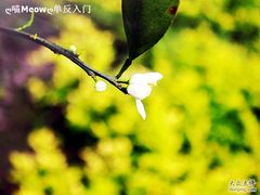 崇明度假游-上海怡沁园度假酒店