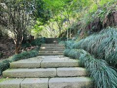 -梦姑塘文化公园