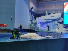 -福州罗源湾海洋世界旅游区